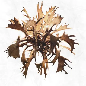 16 Light Sphere Fallow Chandelier
