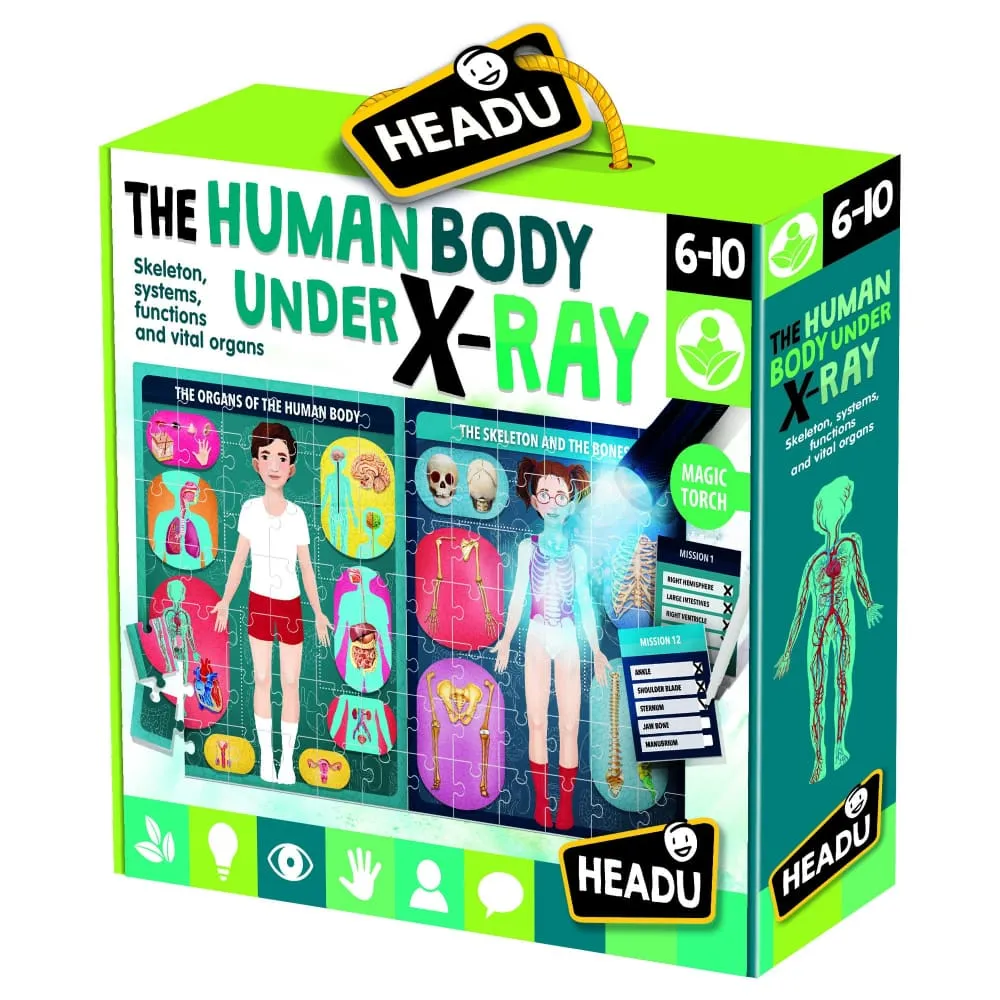 An Xray of the Human Body