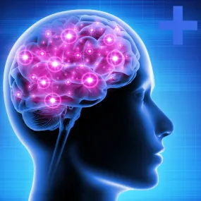 Brain Chemistry Panel  