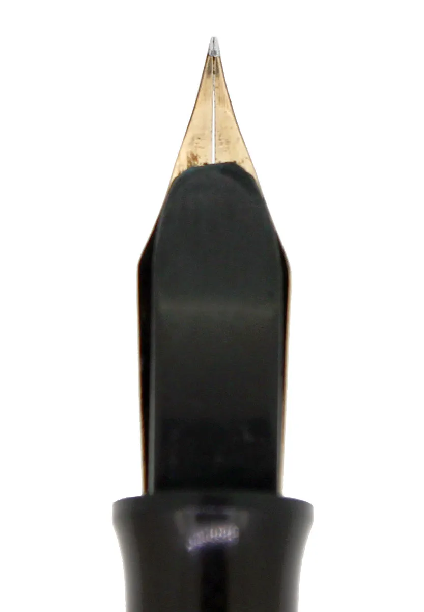 C1925 WATERMAN 452 1/2 STERLING PANSY PANEL XXF-BBB NIB FOUNTAIN PEN RESTORED