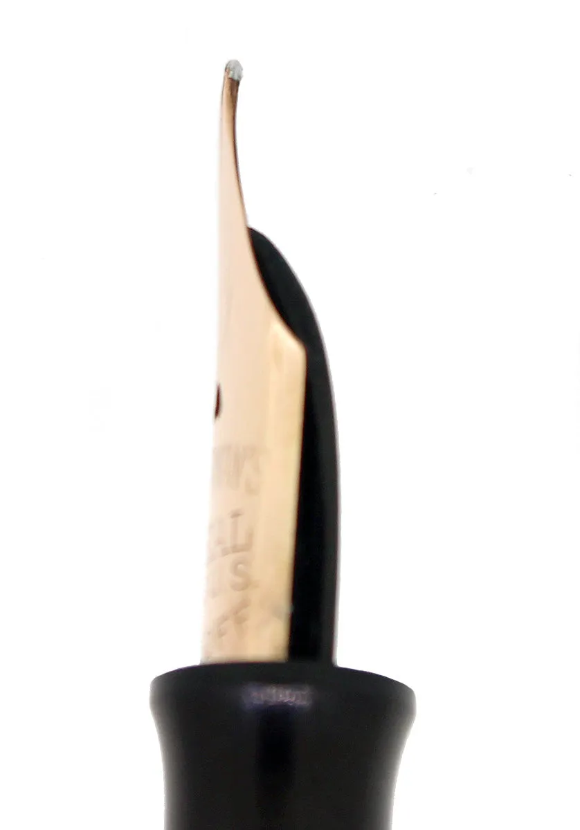 C1925 WATERMAN 452 1/2 STERLING PANSY PANEL XXF-BBB NIB FOUNTAIN PEN RESTORED