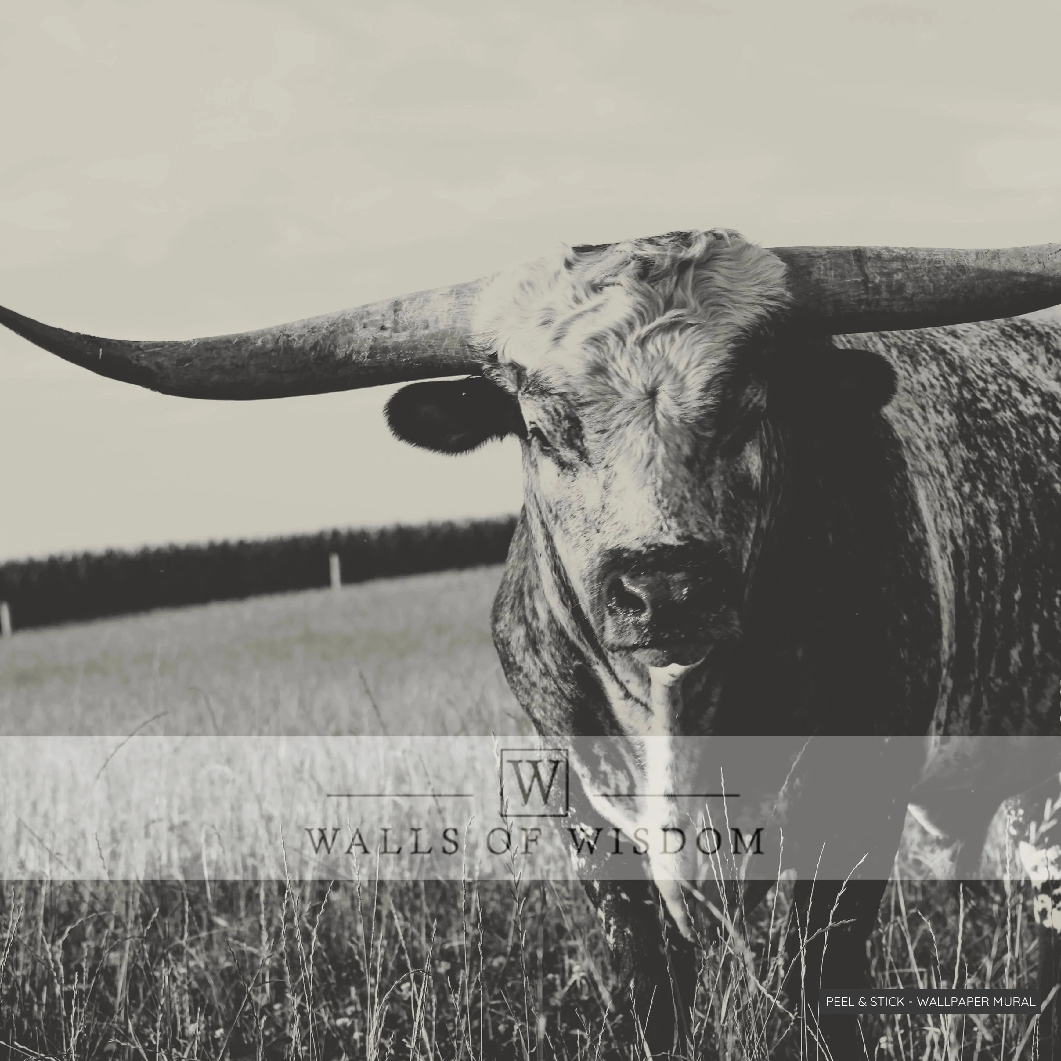 Texas Longhorn Sepia Tone Wallpaper Art Mural - Rustic Western Removable Decor