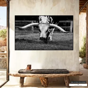 Texas Longhorn Wallpaper Mural - Western Decor Print Peel and Stick