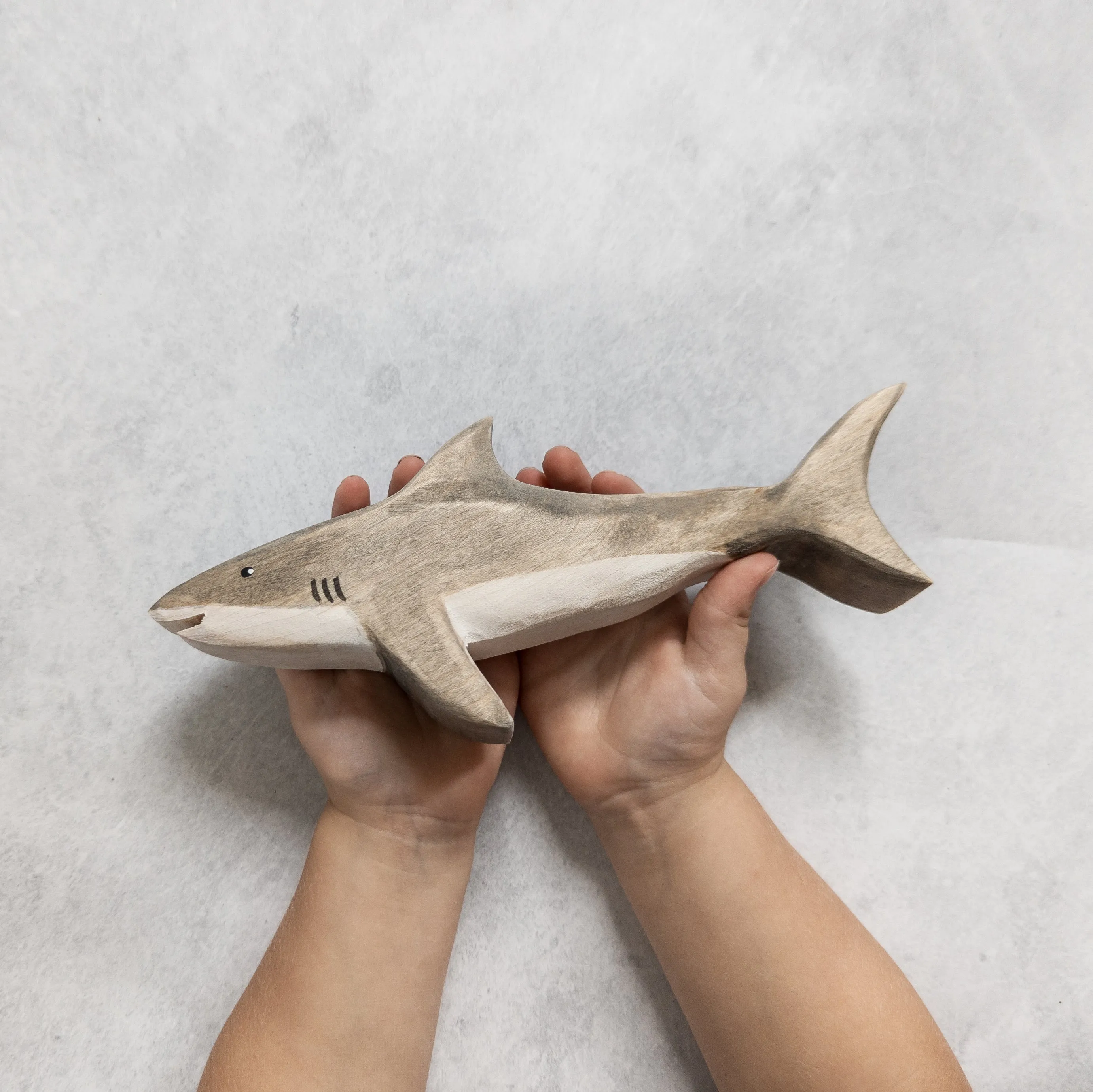 Wooden Great White Shark